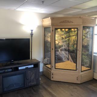 A cozy room featuring a wooden terrarium next to a television, blending nature with modern living.