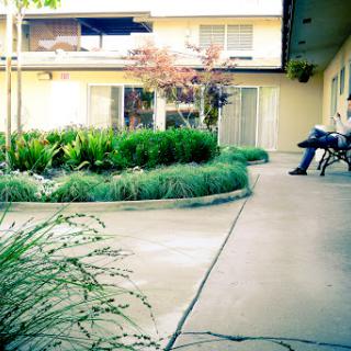 A tranquil courtyard with lush greenery and a comfortable seating area, ideal for relaxation.