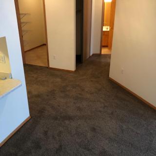 A carpeted hallway in an apartment with multiple doorways leading to different rooms.