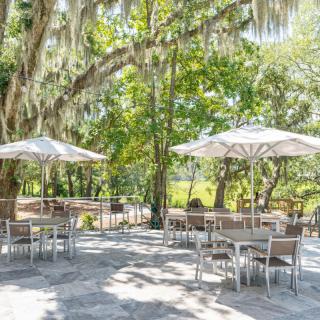 A serene outdoor patio with tables and umbrellas set amidst lush greenery.
