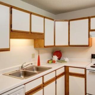 A tidy kitchen with wooden cabinets, a double sink, and a stovetop.