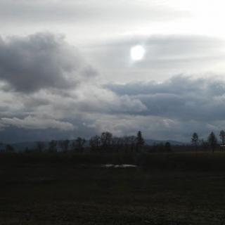 A serene view of an overcast sky with scattered clouds above a lush green field.