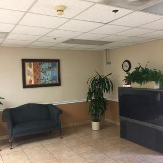 A waiting room with a sofa, plants, and a television.