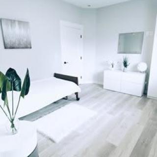 A minimalist bedroom with white decor and a calming atmosphere featuring modern furniture and a touch of greenery.