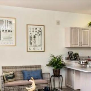 A cozy living space with a small sofa, decorative plants, and a compact kitchenette.