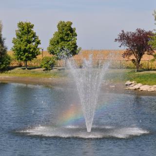 A beautiful fountain in a pond with a rainbow and surrounding trees.