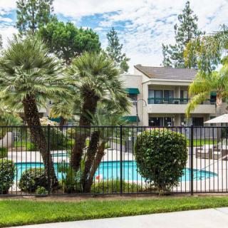 A view of an apartment complex with a swimming pool surrounded by palm trees and a metal fence.