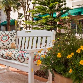 A charming outdoor bench with colorful cushions surrounded by vibrant plants and flowers.