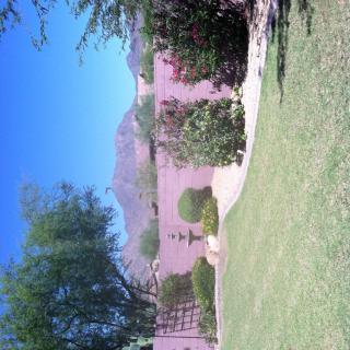 A serene garden landscape with a pink wall and mountains in the background.
