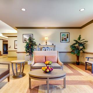 A welcoming lobby area featuring comfortable seating and decorative plants.