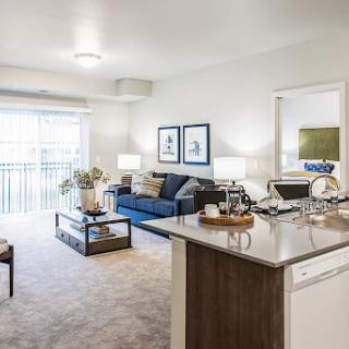 A stylish and modern living room featuring a comfortable blue sofa, elegant decor, and ample natural light.
