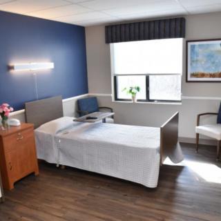 A modern hospital room with a single bed, blue accent wall, window, and minimalist decor.