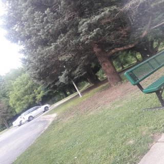 A peaceful park scene featuring a bench, lush greenery, and a road.