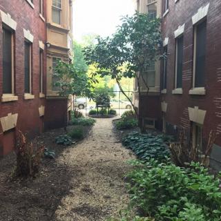 A narrow alley between brick buildings lined with plants and a gravel pathway.
