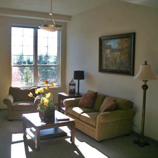 A cozy living room with large windows allowing natural light to fill the space, furnished with a sofa, armchair, coffee table, and various lamps.