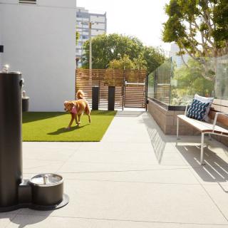 A modern outdoor patio area featuring a dog on artificial grass, with a bench and city views in the background.
