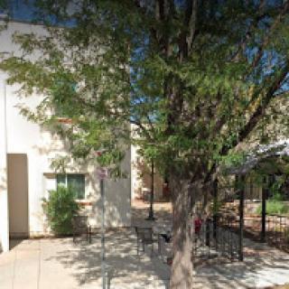 A serene outdoor space featuring a large tree beside a building, inviting relaxation.