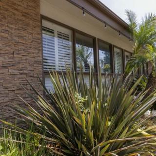 A modern house exterior with large windows and a garden featuring various plants.