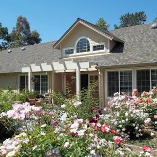 A beautiful home surrounded by vibrant rose bushes on a sunny day.