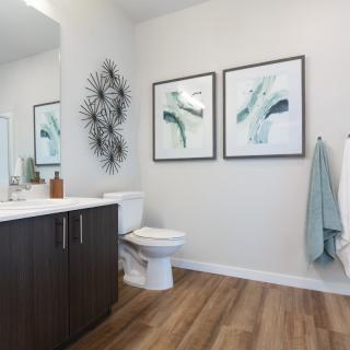 A modern bathroom with wood flooring, featuring artwork and a sleek vanity.