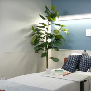 A minimalist bedroom with a cozy bed, decorative pillows, and a potted plant for a touch of greenery.