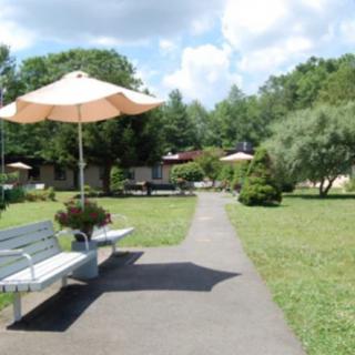 A tranquil park scene with benches and umbrellas lining a pathway surrounded by lush greenery.