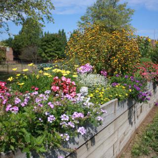 A vibrant display of flowers in a well-maintained garden.