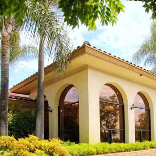 A scenic view of a building surrounded by palm trees and landscaped gardens.