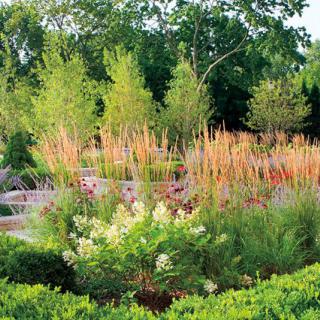 A lush garden filled with a variety of plants and grasses, set against a backdrop of trees.
