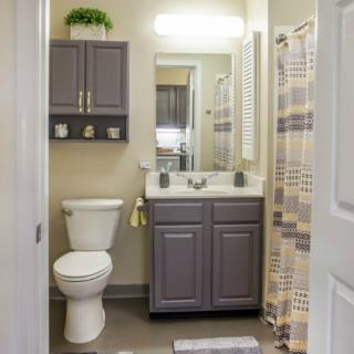 A modern bathroom with a toilet, vanity sink, and mirror, featuring gray cabinetry and a patterned shower curtain.