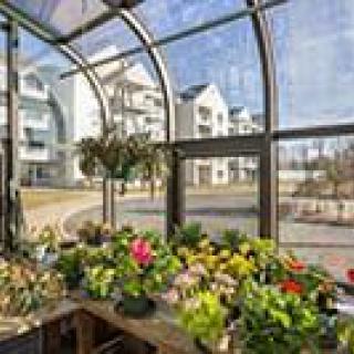 A greenhouse filled with vibrant plants and flowers next to modern buildings.