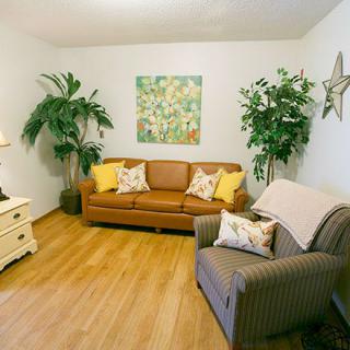 A cozy living room with a brown sofa, indoor plants, and decorative elements.