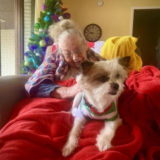 An elderly person enjoying a cozy moment with a dog in a festive home setting.