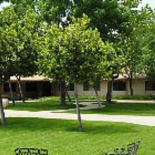 A serene park with lush green grass, trees, and a winding pathway.