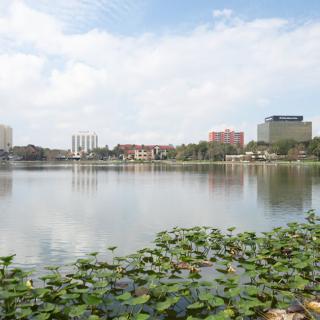 A serene cityscape view featuring a lake with lilypads and surrounding buildings under a partly cloudy sky.