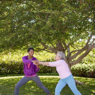 Two women practicing tai chi in a park under a large tree.