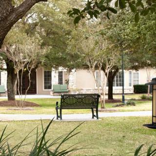 A serene park setting with a bench, surrounded by trees and greenery.