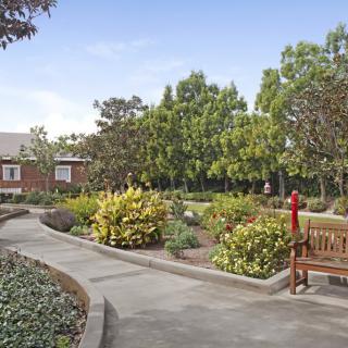 A tranquil garden with a winding pathway, surrounded by lush greenery and a wooden bench.