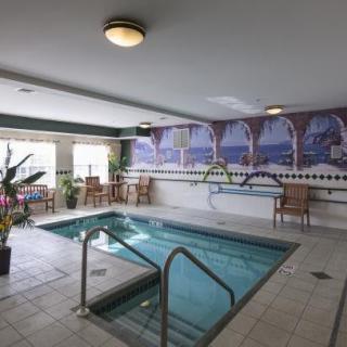 An indoor hot tub area with seating, decorative plants, and a mural on the wall.