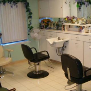 Interior of a hair salon with chairs, mirrors, and a sink.