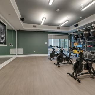 A modern gym room equipped with exercise bikes and weights arranged neatly.