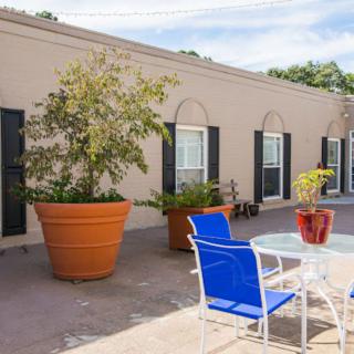 A sunny outdoor patio with blue chairs, a glass table, and large potted plants against a beige building with windows.