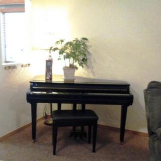A small grand piano with a bench, accompanied by a lamp and plant in an indoor setting.