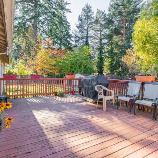 A sunny deck with outdoor furniture surrounded by lush trees.