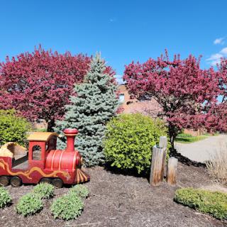 A vibrant garden featuring colorful trees and a playful train structure.