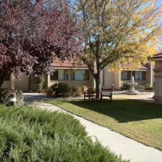 A well-maintained garden with a pathway leading to a house, surrounded by trees and a bench.