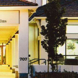 San Carlos Elms
