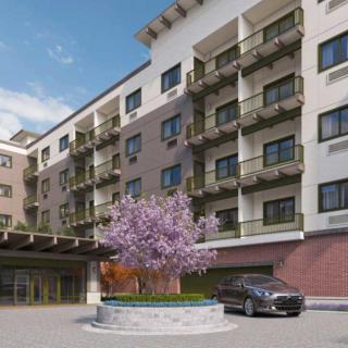 A modern hotel exterior with balconies, a car parked in front, and a flowering tree in the center of the entrance roundabout.