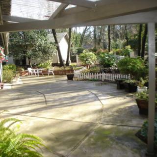A sunlit patio with garden plants and outdoor furniture.