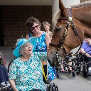 An elderly woman in a wheelchair interacts with a horse, accompanied by a caregiver outdoors.
